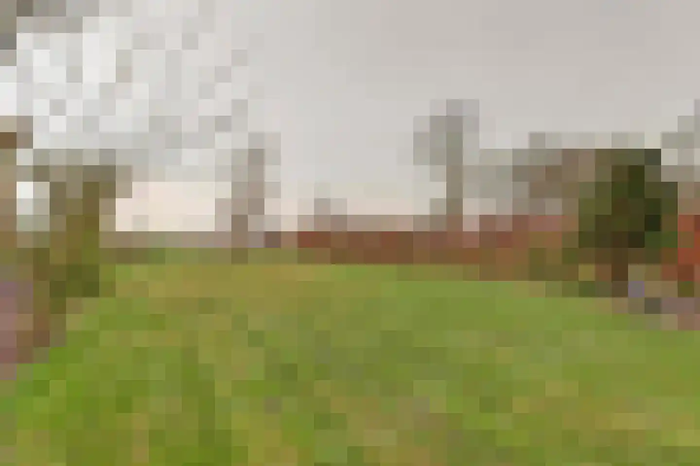 Neushoornweg 22 B Kraggenburg thumbnail 36
