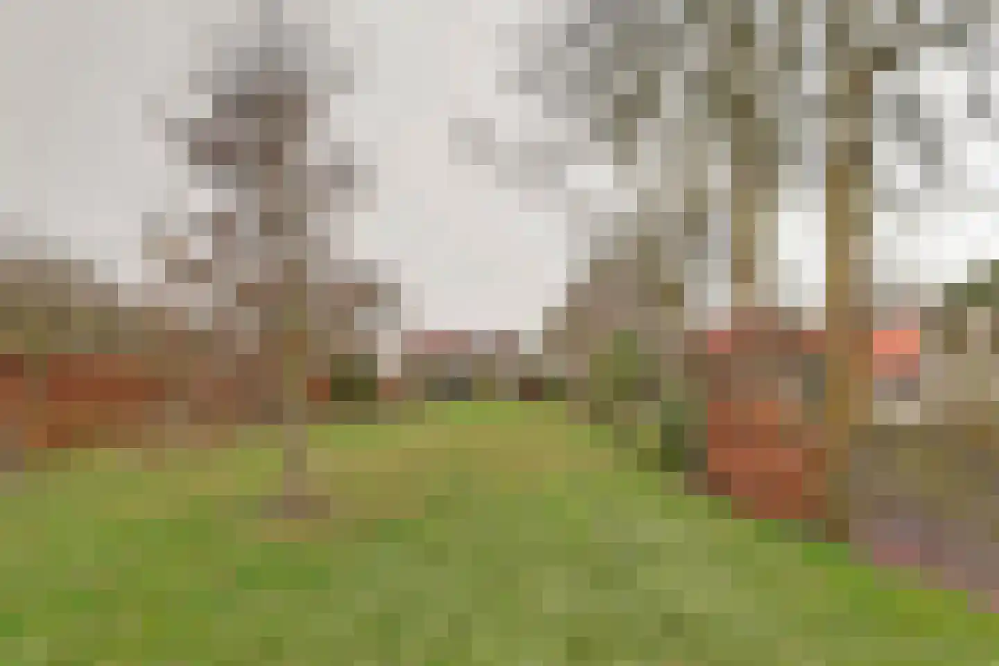 Neushoornweg 22 B Kraggenburg thumbnail 37