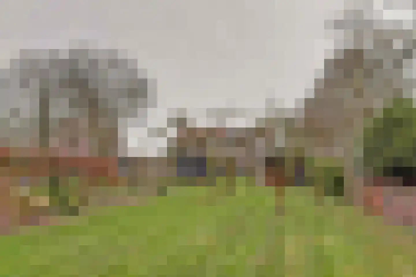 Neushoornweg 22 B Kraggenburg thumbnail 38