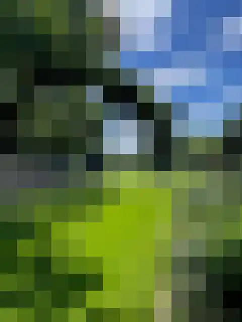 Neushoornweg 22 B Kraggenburg thumbnail 4