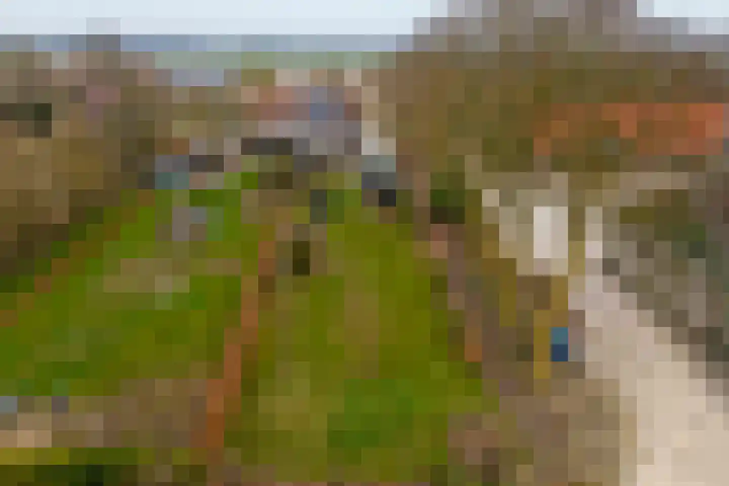 Neushoornweg 22 B Kraggenburg thumbnail 42