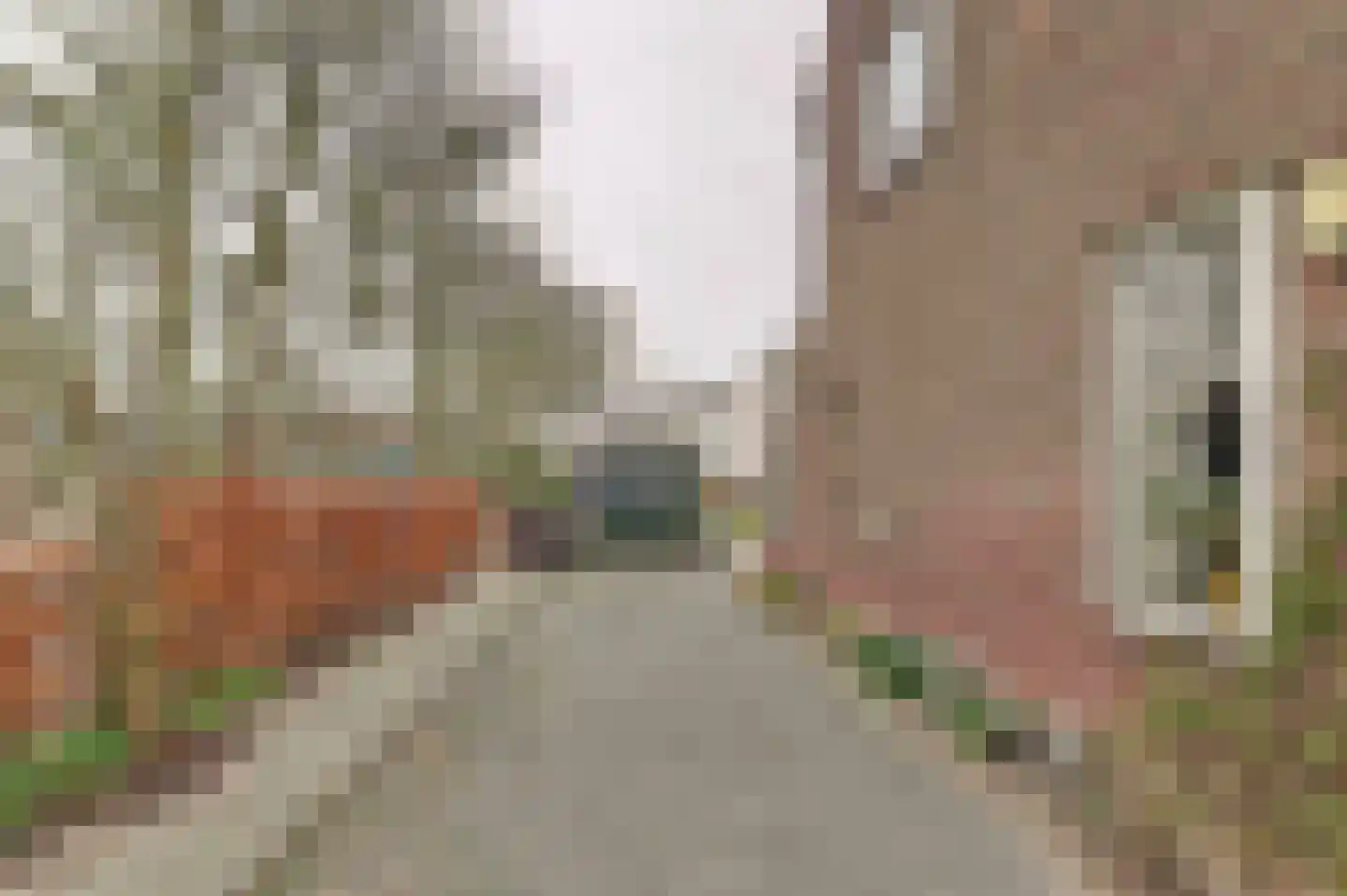 Neushoornweg 22 B Kraggenburg thumbnail 5
