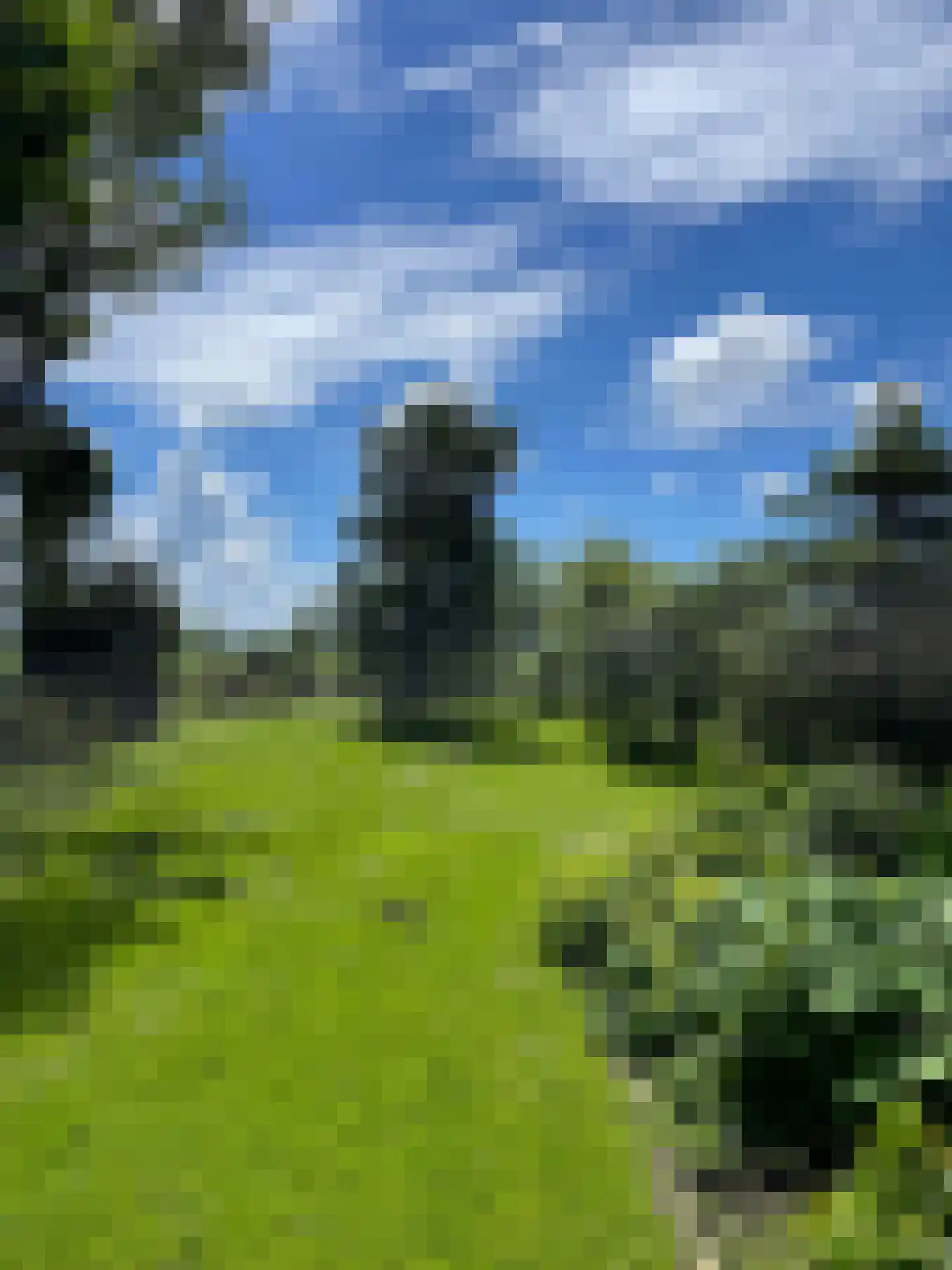 Neushoornweg 22 B Kraggenburg thumbnail 5