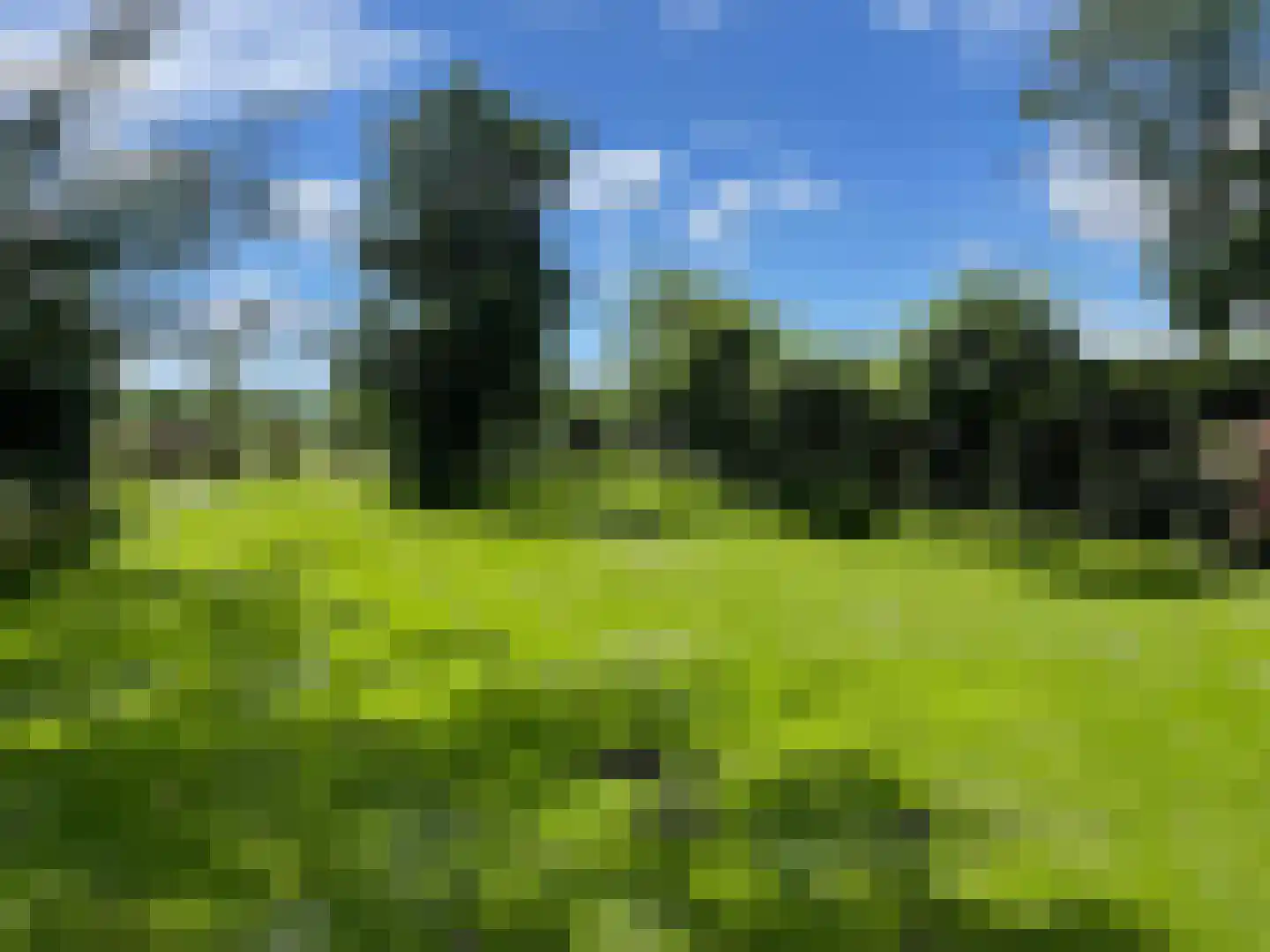 Neushoornweg 22 B Kraggenburg thumbnail 6