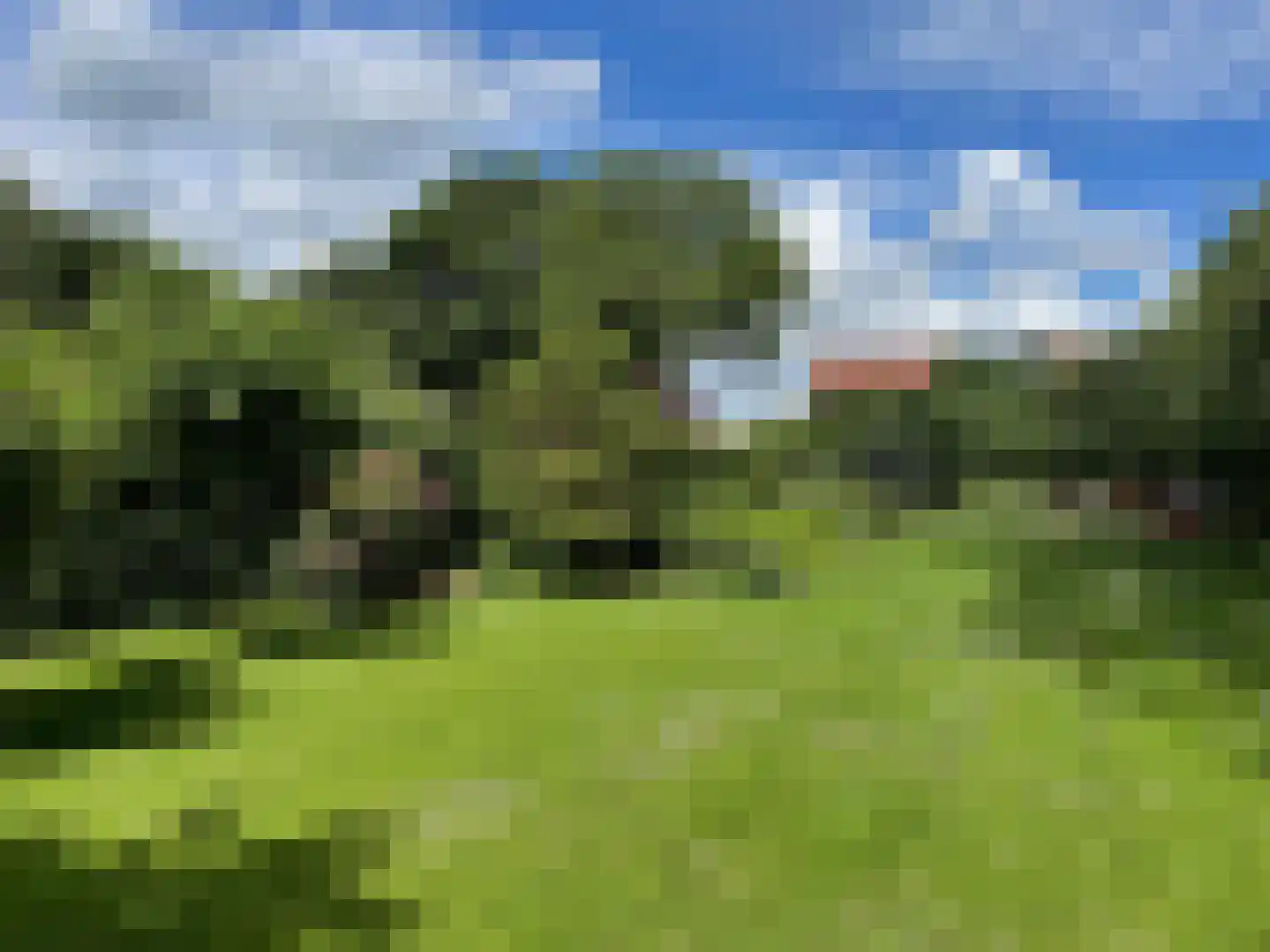 Neushoornweg 22 B Kraggenburg thumbnail 8
