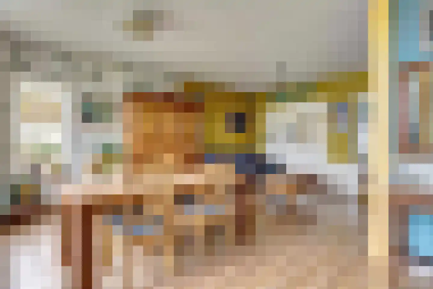 Neushoornweg 22 B Kraggenburg thumbnail 9