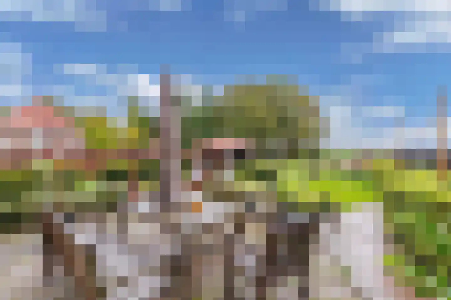 Neushoornweg 32 B Kraggenburg thumbnail 10