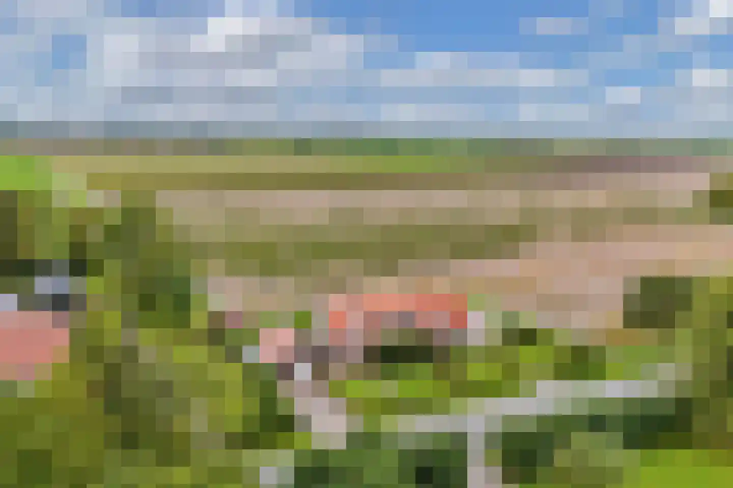 Neushoornweg 32 B Kraggenburg thumbnail 20
