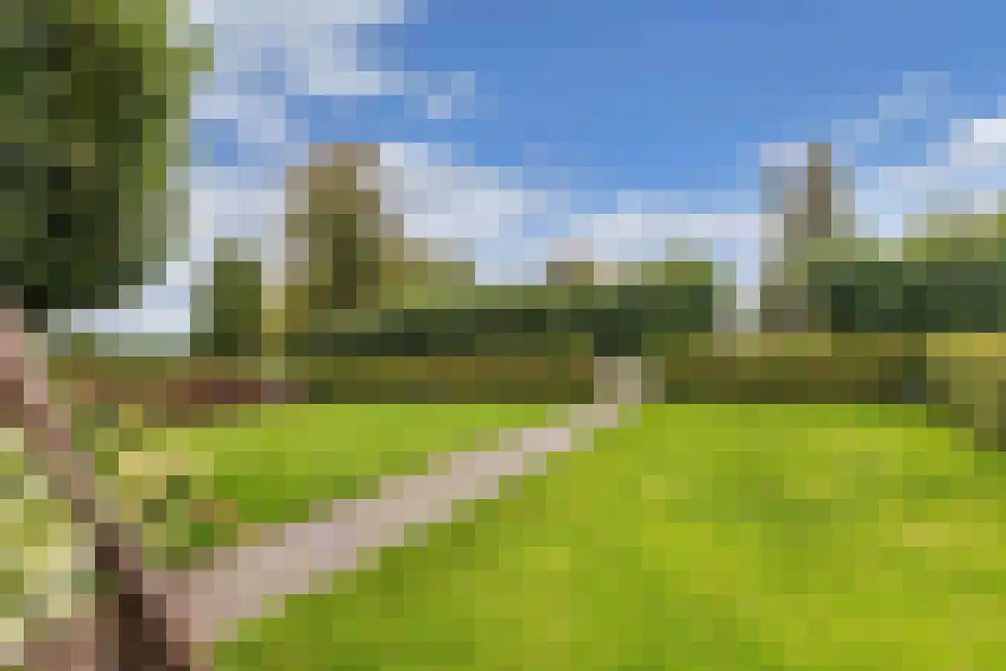 Neushoornweg 32 B Kraggenburg thumbnail 21