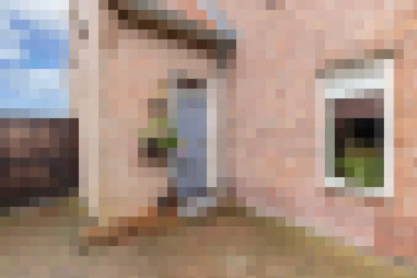 Neushoornweg 32 B Kraggenburg thumbnail 22