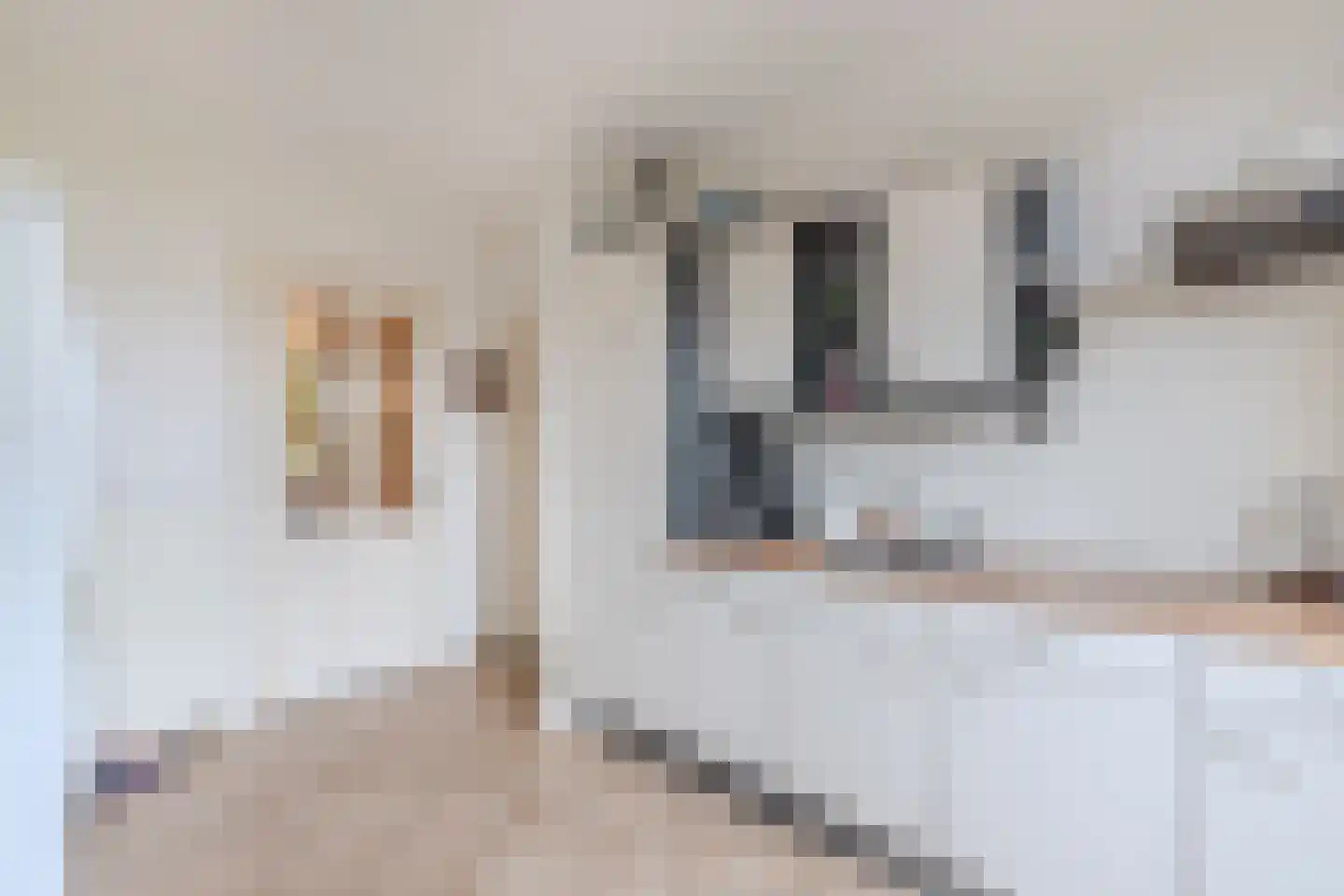 Neushoornweg 32 B Kraggenburg thumbnail 42