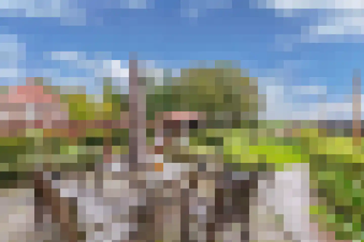 Neushoornweg 32 B Kraggenburg thumbnail 59
