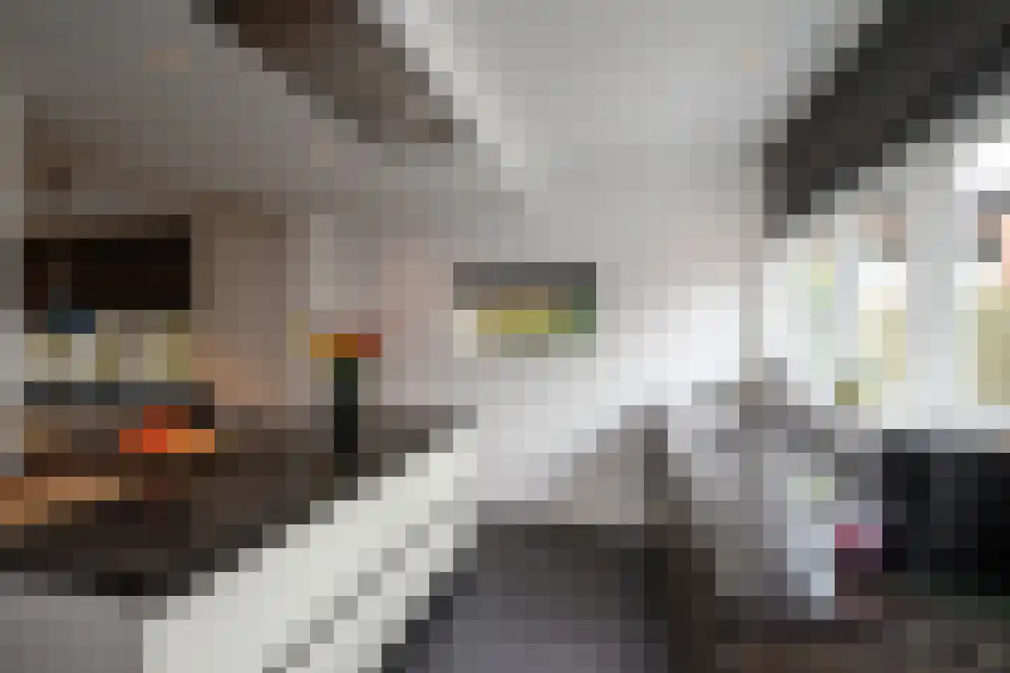 Neuweg 112 Hilversum thumbnail 18
