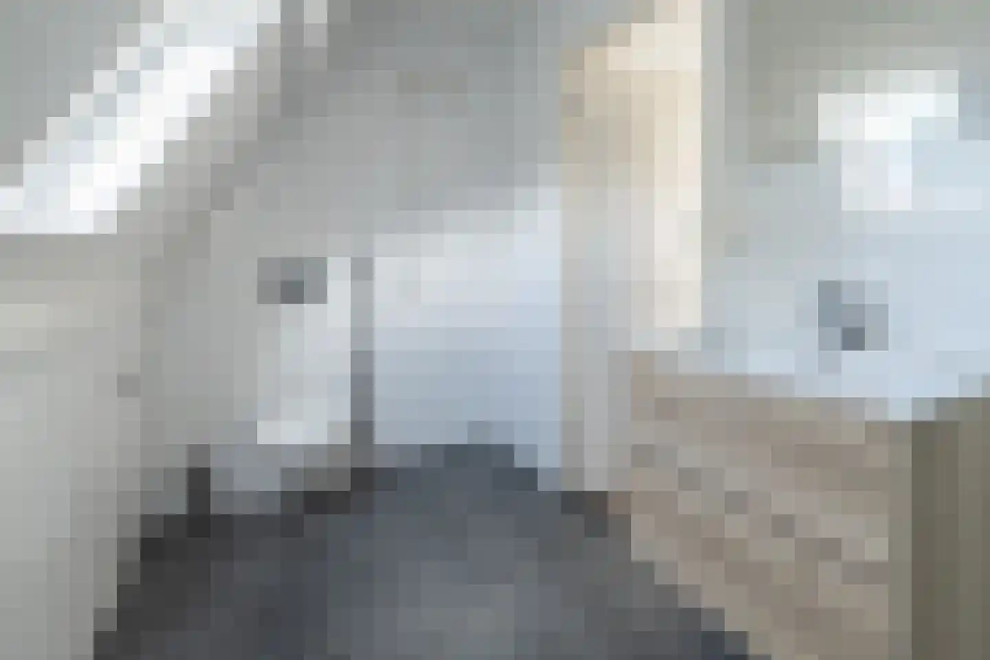 Neuweg 14 B Hilversum thumbnail 13