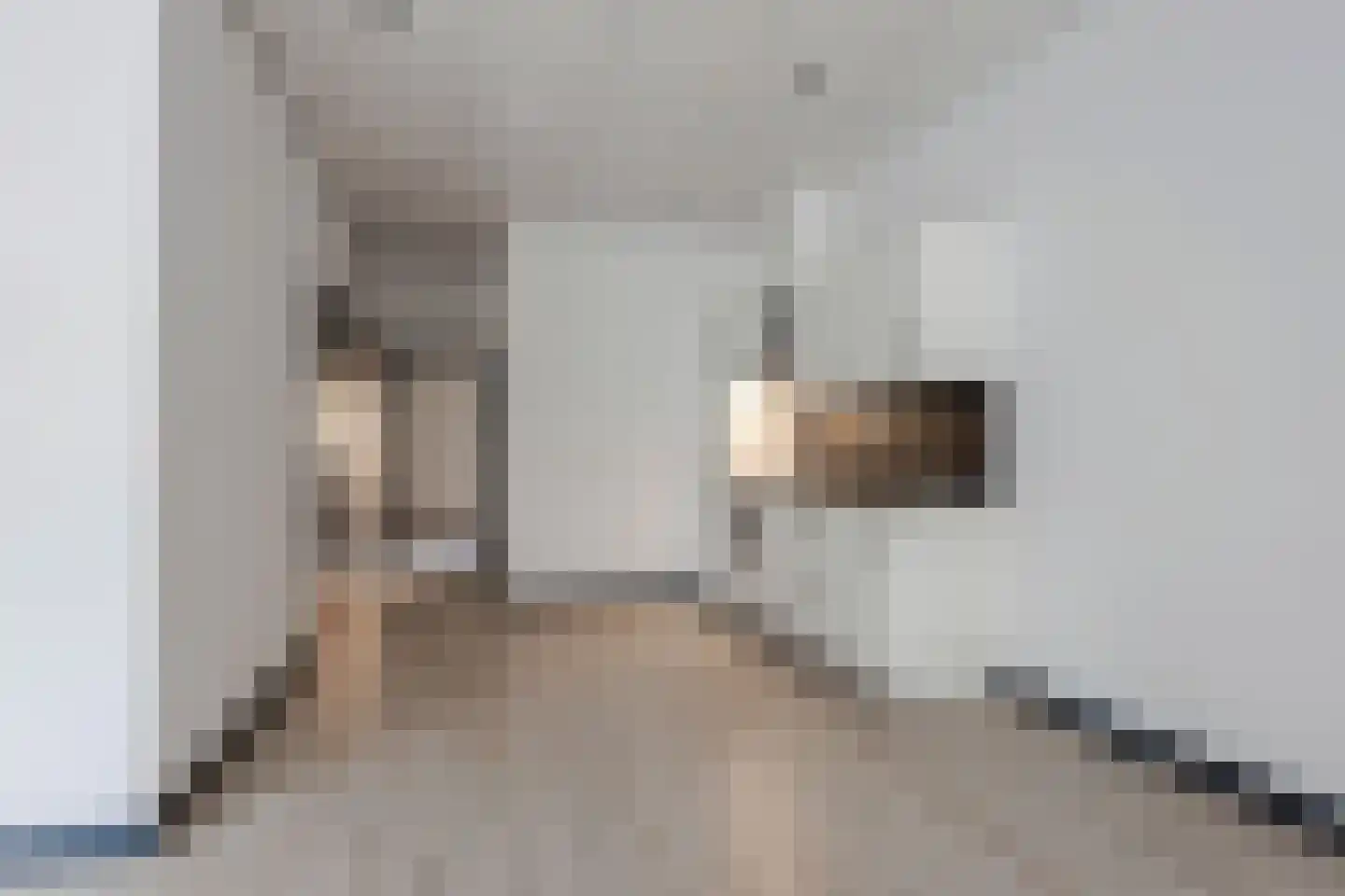 Neuweg 14 Hilversum thumbnail 7