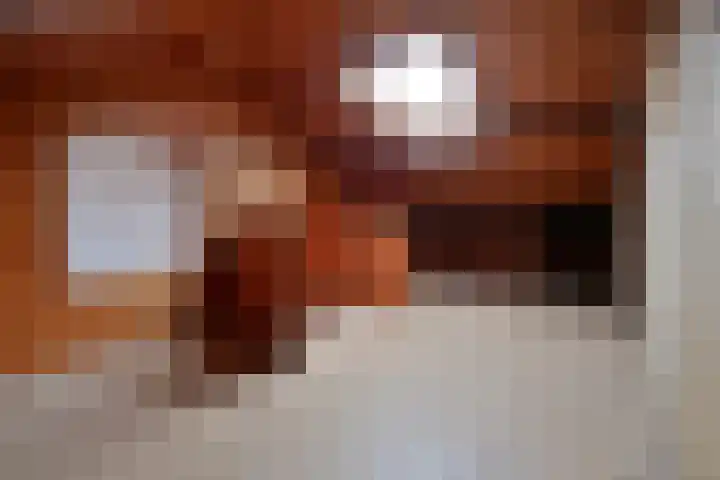 Neuweg 140 Hilversum thumbnail 18