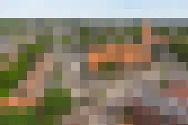 Neuweg 154 Hilversum thumbnail 16