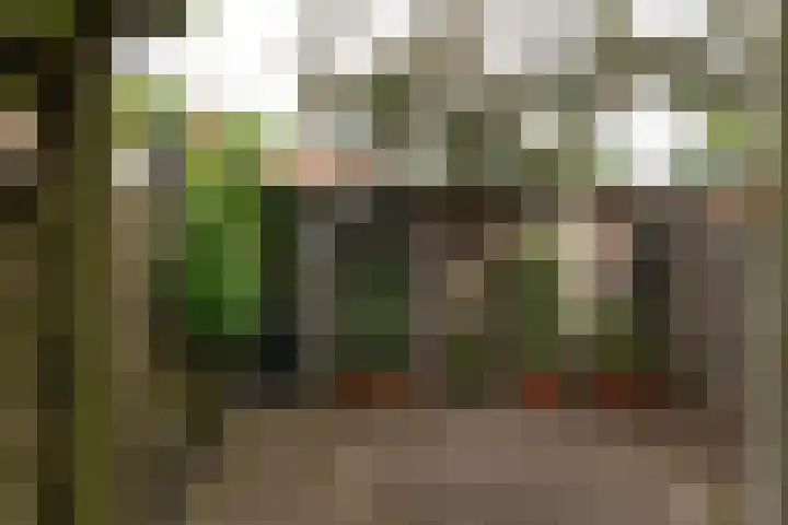 Neuweg 154 Hilversum thumbnail 17