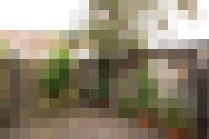Neuweg 154 Hilversum thumbnail 18