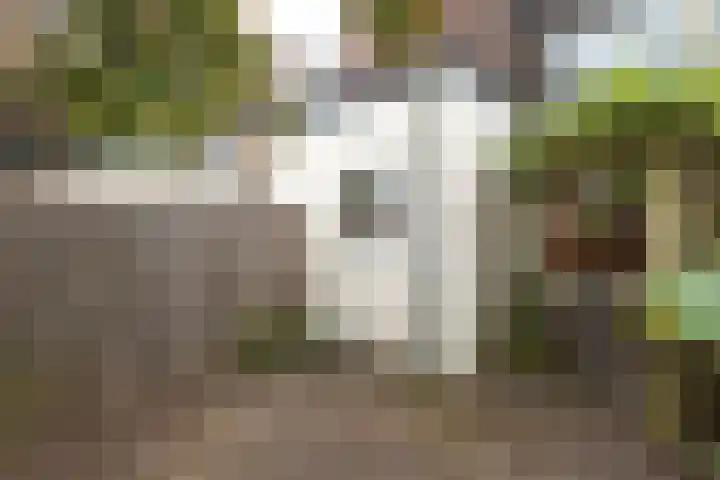 Neuweg 154 Hilversum thumbnail 19