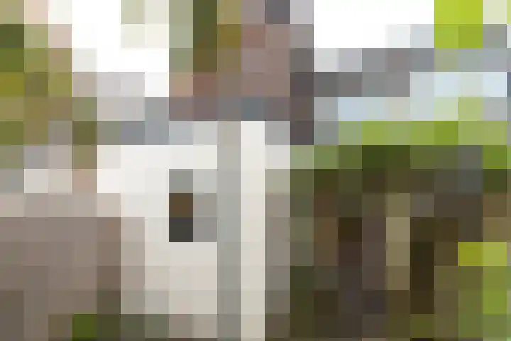 Neuweg 154 Hilversum thumbnail 20