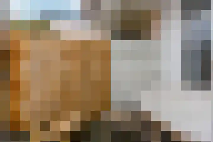 Neuweg 156 Hilversum thumbnail 36