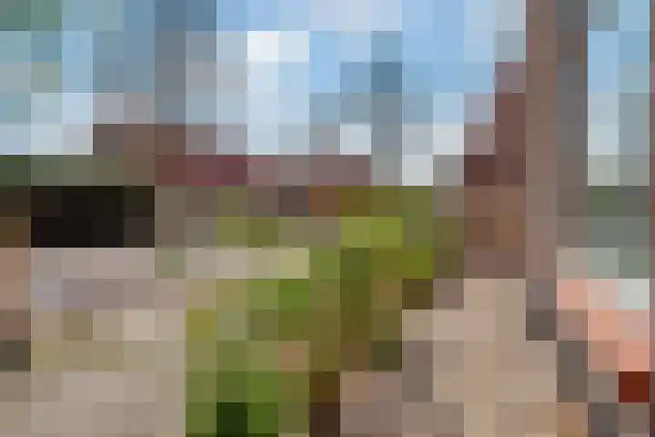 Neuweg 182 Hilversum thumbnail 30