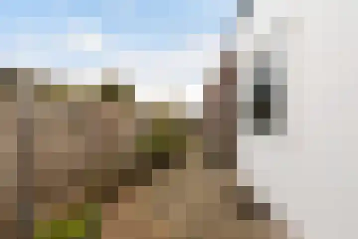Neuweg 191 Hilversum thumbnail 16