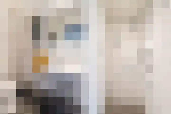 Neuweg 191 Hilversum thumbnail 31