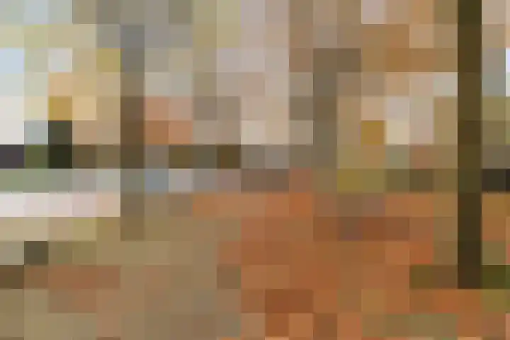 Neuweg 191 Hilversum thumbnail 33