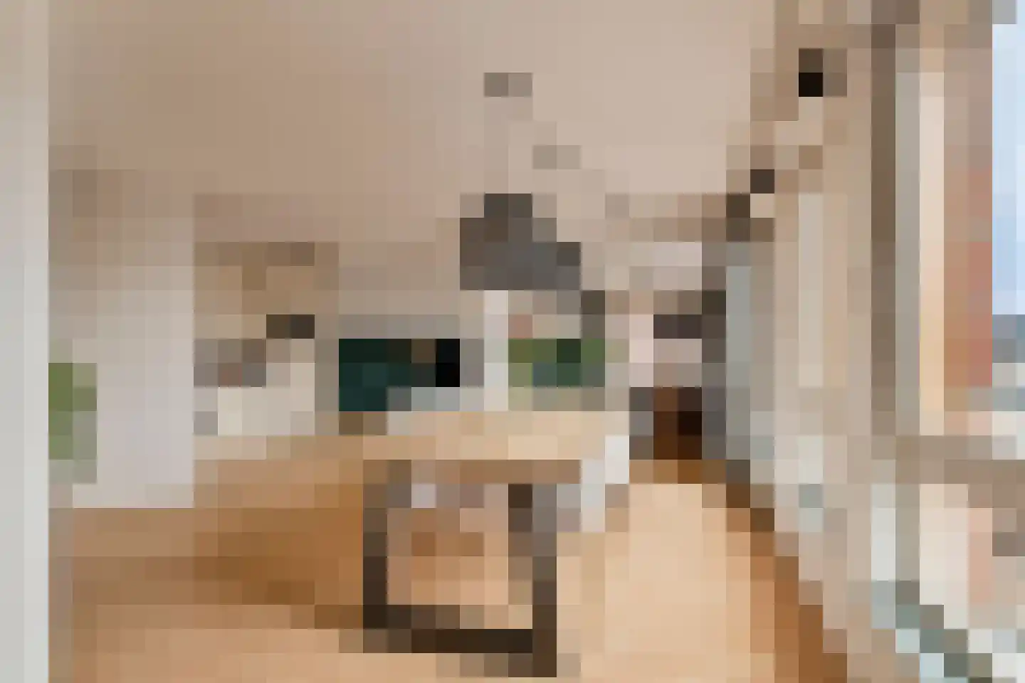 Neuweg 2 C Hilversum thumbnail 5