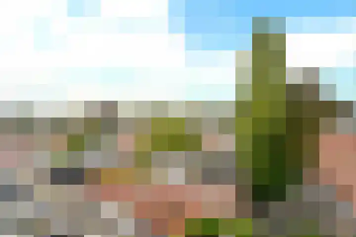 Neuweg 2 H Hilversum thumbnail 13