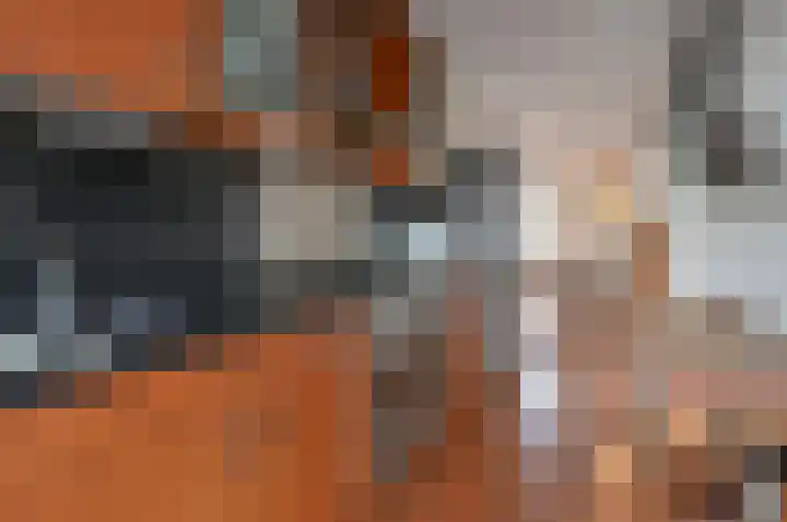 Neuweg 2 H Hilversum thumbnail 6