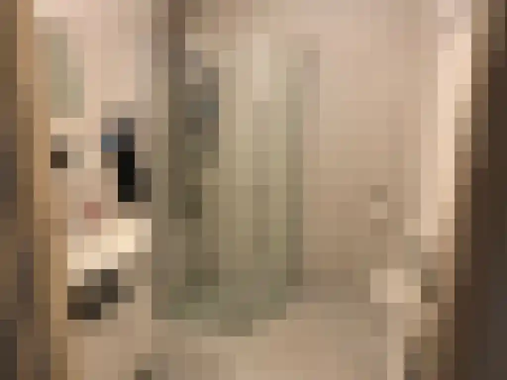 Neuweg 2 Hilversum thumbnail 6