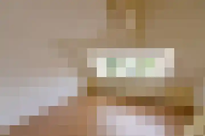 Neuweg 219 A Hilversum thumbnail 9