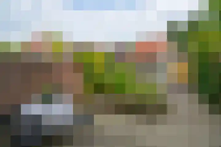 Neuweg 282 Hilversum thumbnail 20