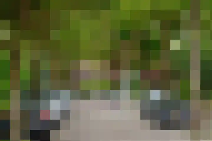 Neuweg 282 Hilversum thumbnail 22