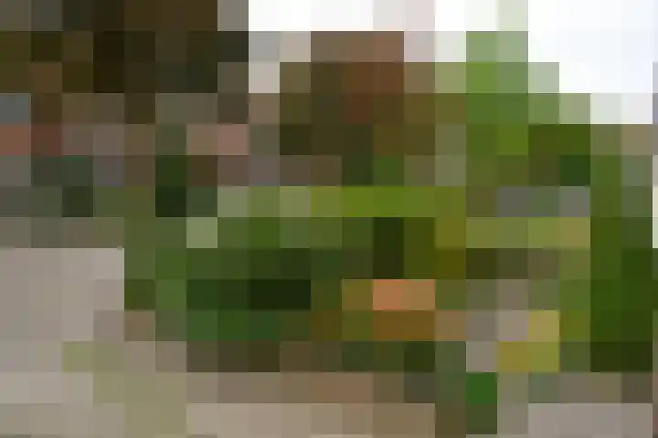 Neuweg 282 Hilversum thumbnail 23