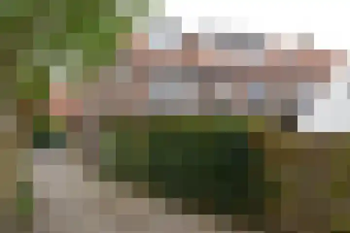 Neuweg 282 Hilversum thumbnail 24