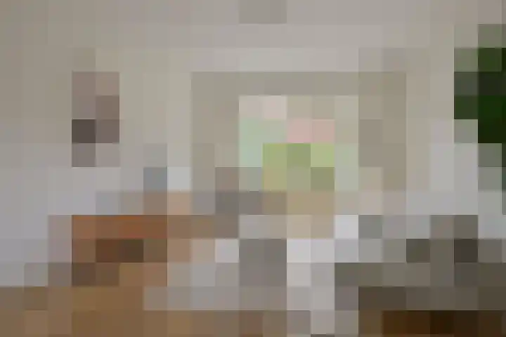 Neuweg 282 Hilversum thumbnail 4