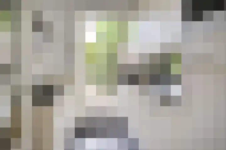 Neuweg 282 Hilversum thumbnail 8