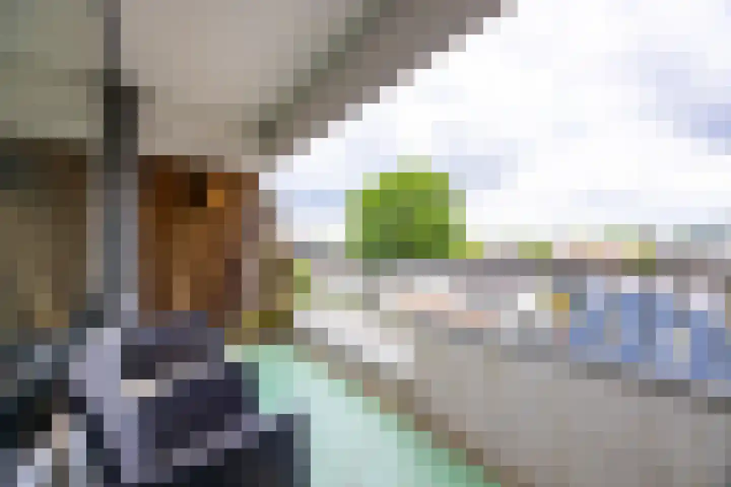 Neuweg 29 19 Hilversum thumbnail 13