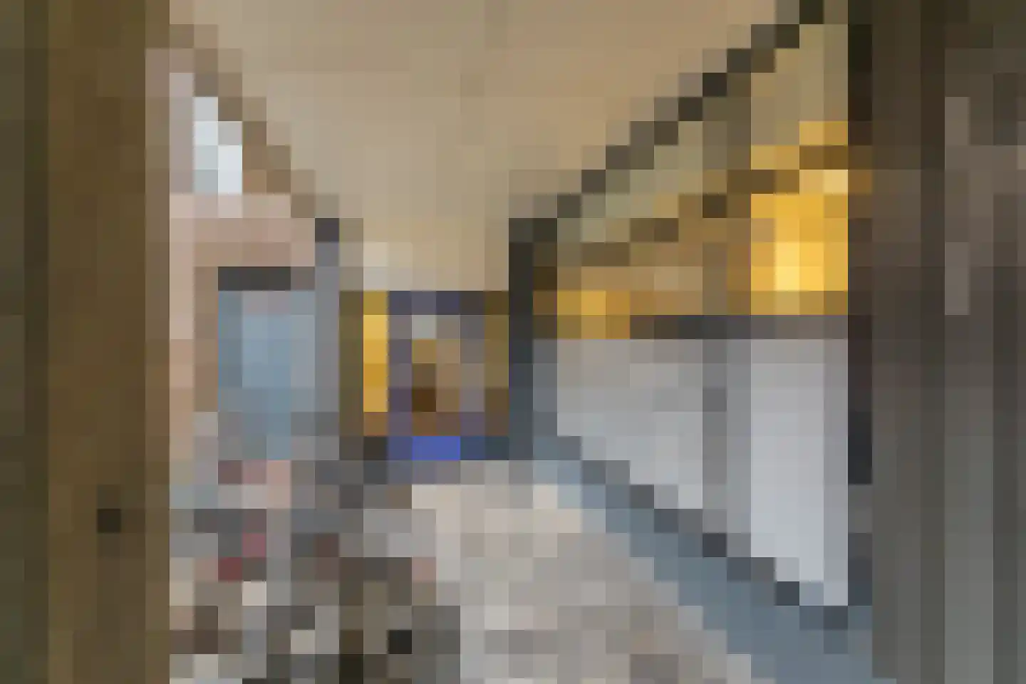 Neuweg 29 29 Hilversum thumbnail 28