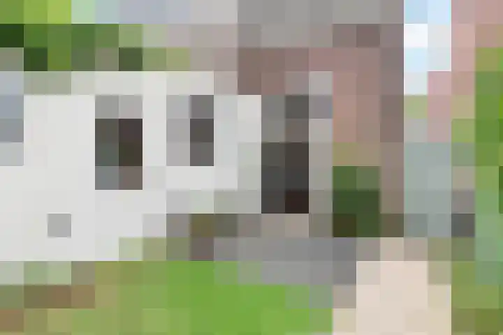 Neuweg 34 A Hilversum thumbnail 18