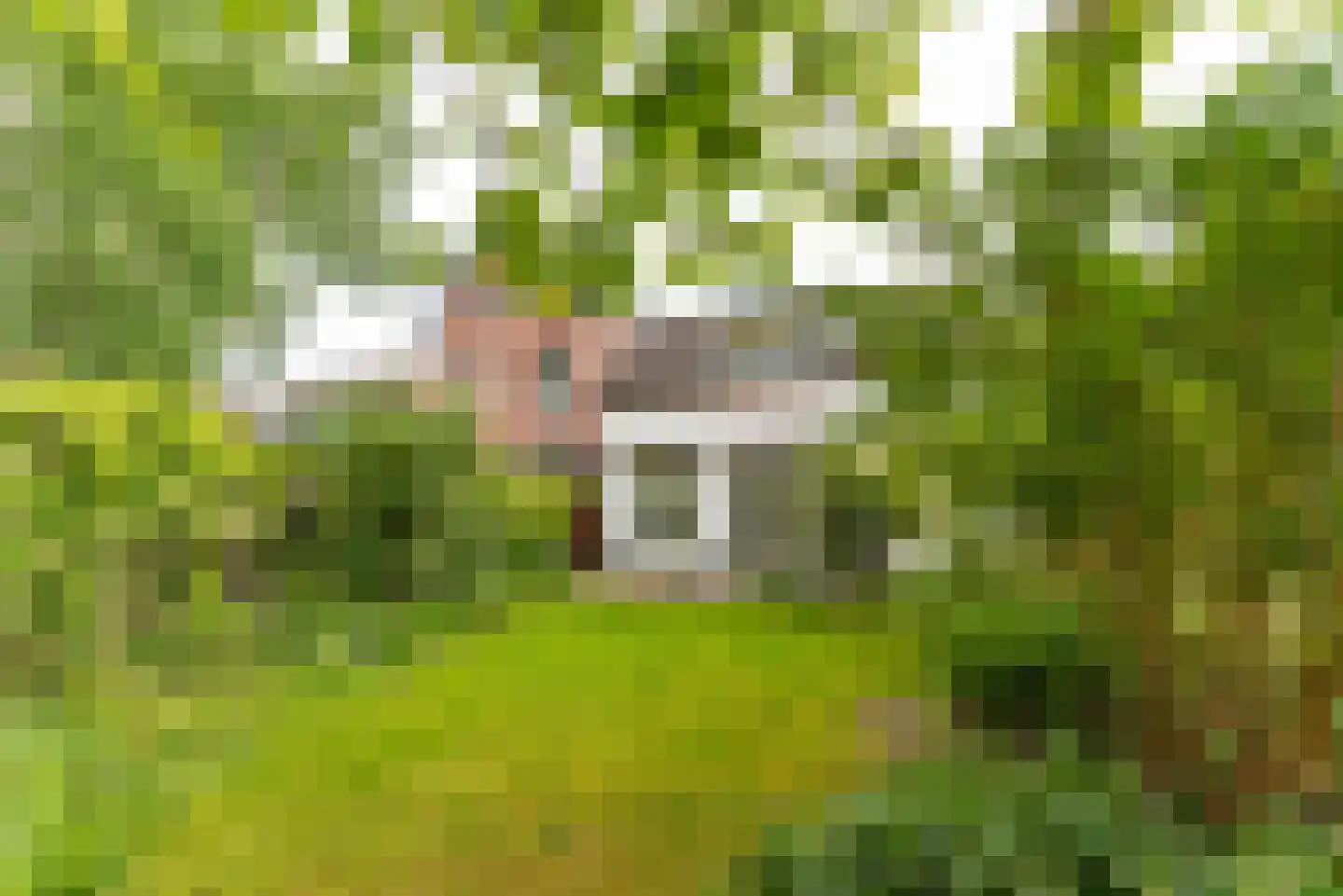 Neuweg 38 Hilversum thumbnail 23