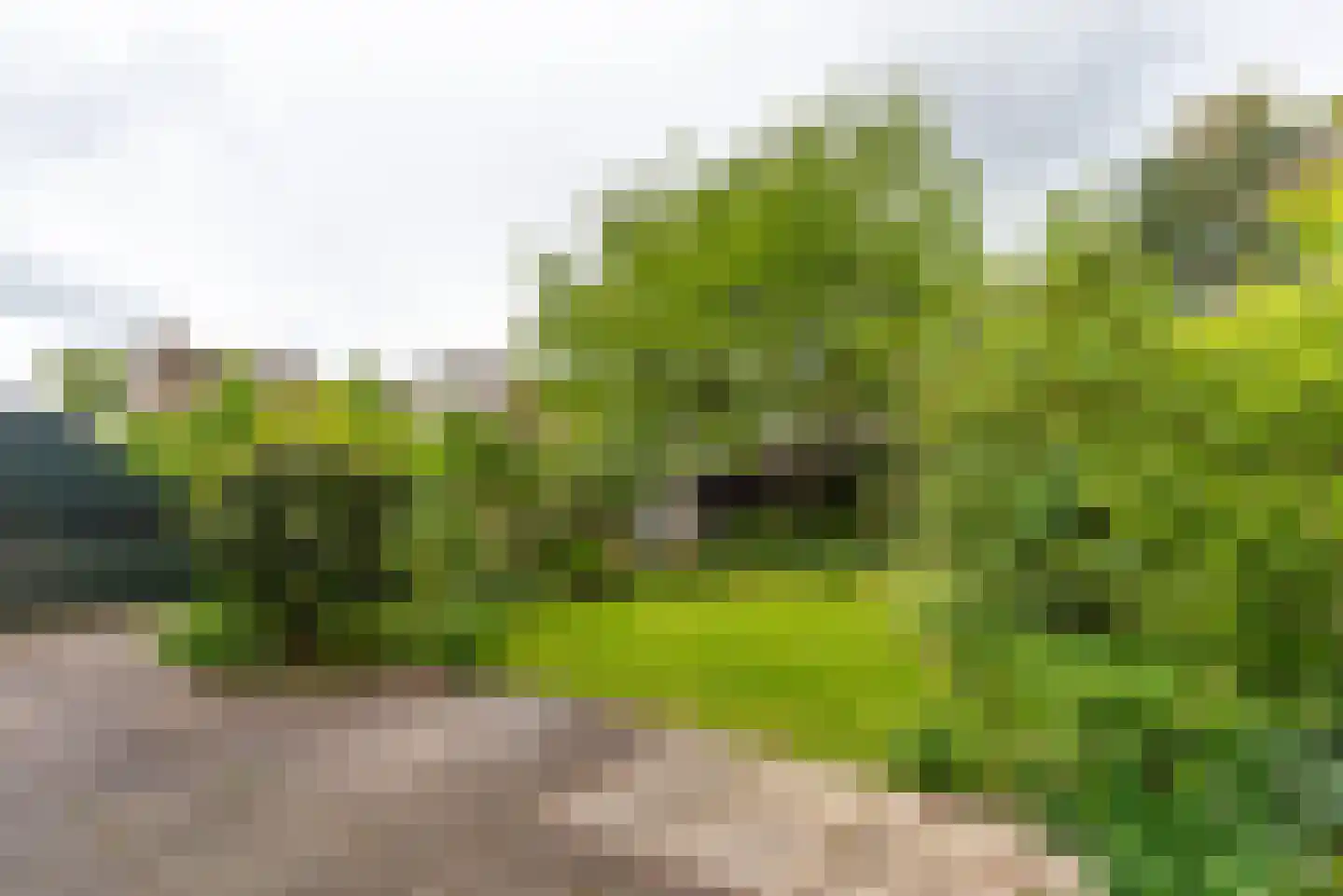 Neuweg 38 Hilversum thumbnail 24