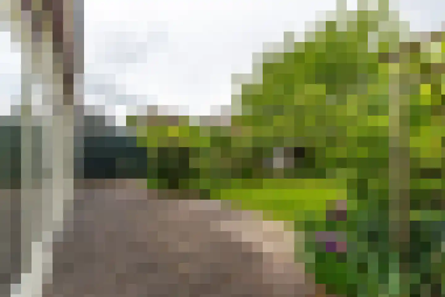 Neuweg 38 Hilversum thumbnail 25