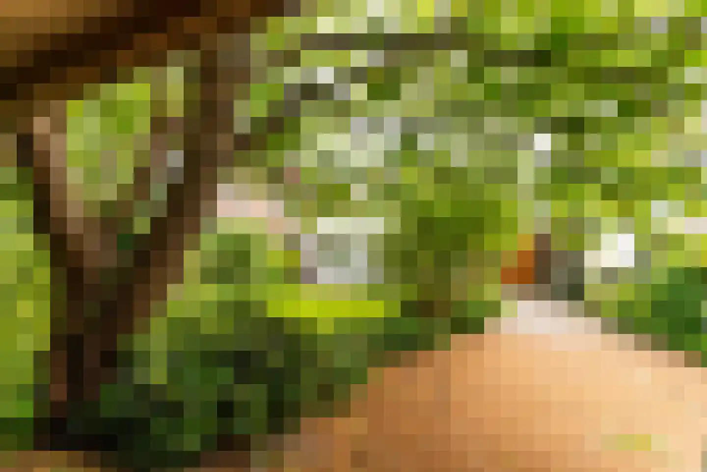 Neuweg 38 Hilversum thumbnail 27