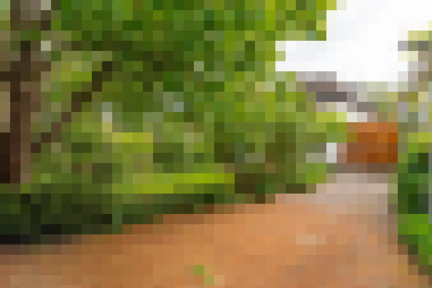 Neuweg 38 Hilversum thumbnail 29