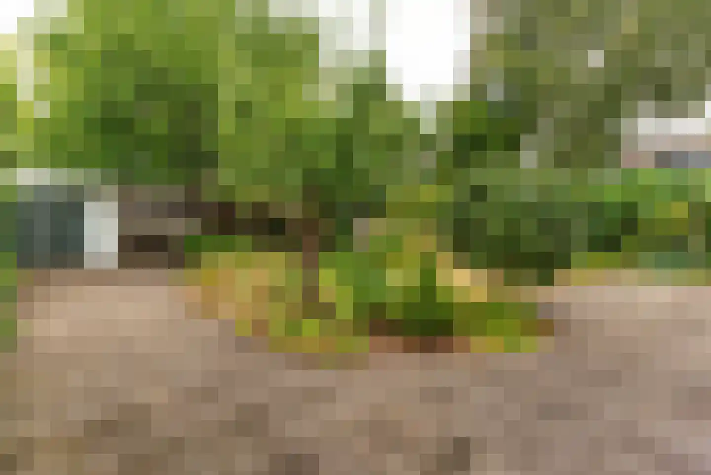 Neuweg 38 Hilversum thumbnail 30
